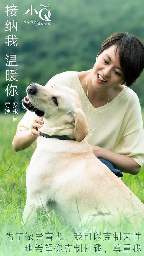 旧金山音乐学院成绩单电子图